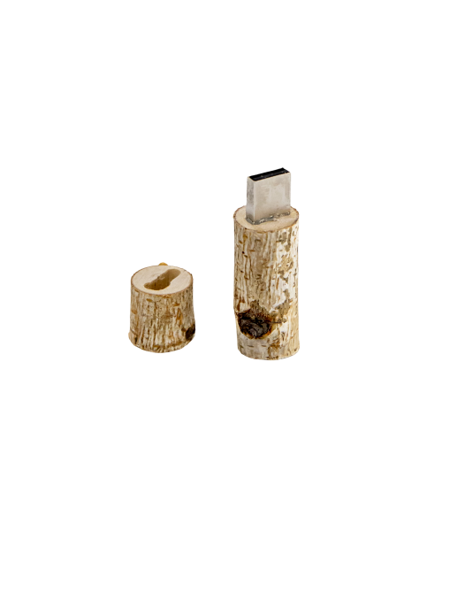 Drveni USB stick grančica USB32Fb